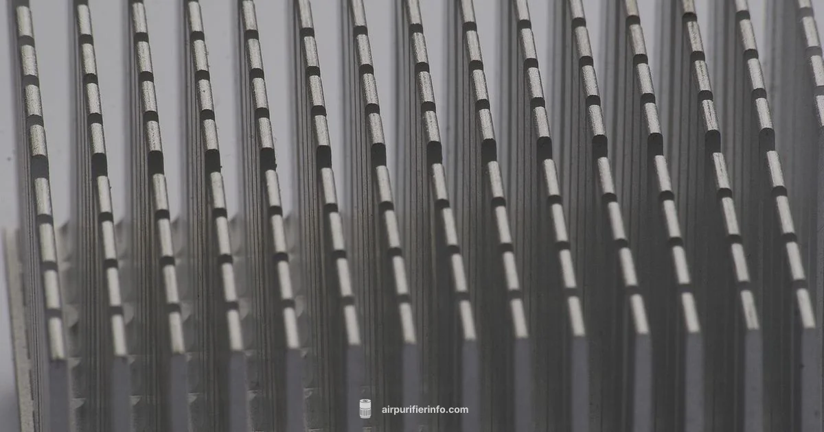 Dyson Sale Spotlight - Air Purifier Info