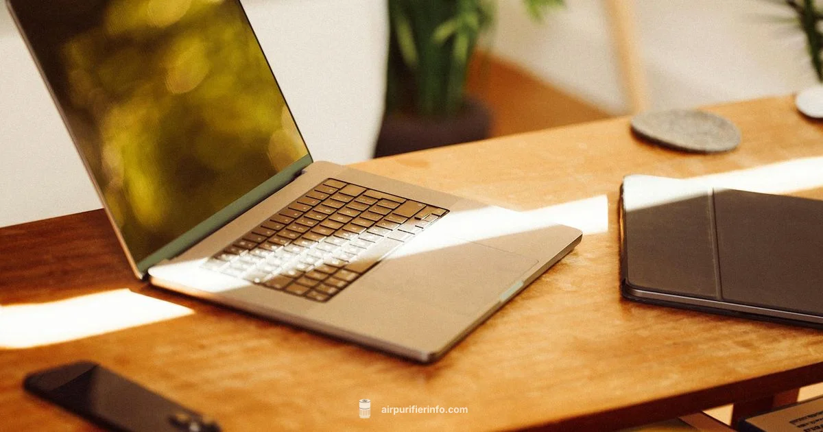 Budget Purifier Picks - Air Purifier Info