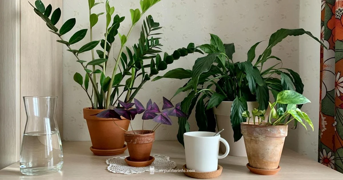 Prevent Whistling - Air Purifier Info