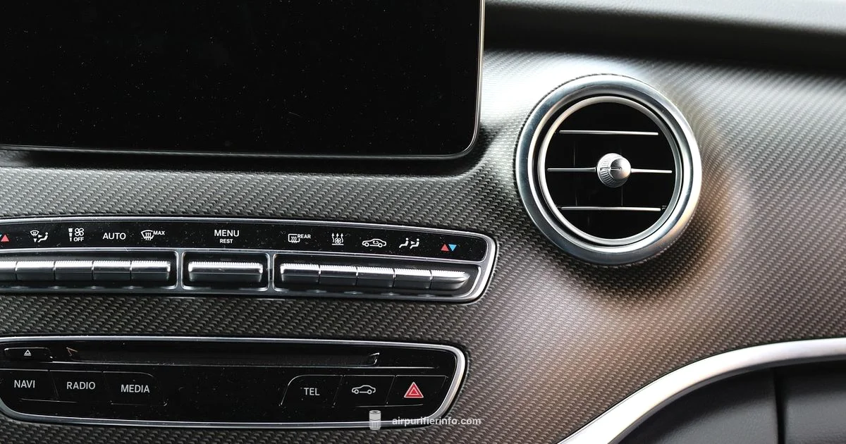 Carbon Filter Basics - Air Purifier Info