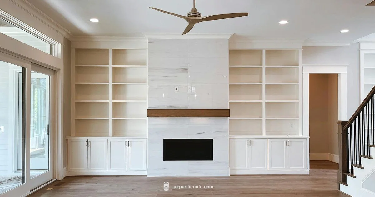 Dyson Hot and Cold - Air Purifier Info