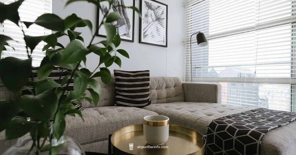 Behind-Couch Setup - Air Purifier Info