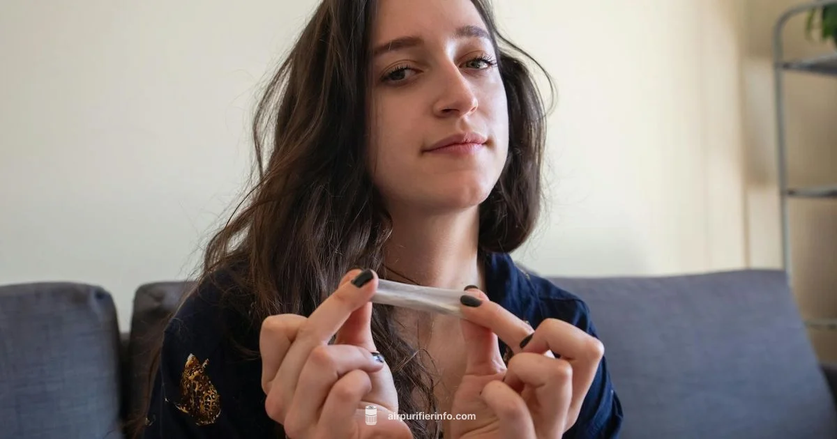 Smoker-Friendly Purifier Pick - Air Purifier Info