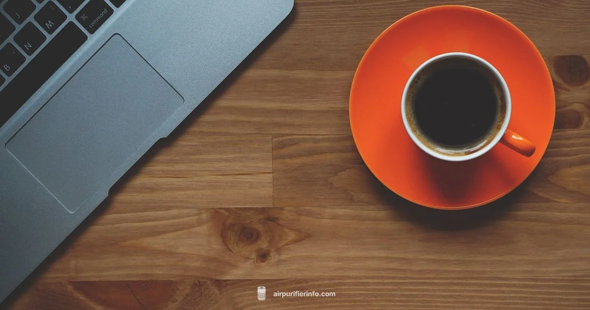 PuroAir vs Levoit - Air Purifier Info