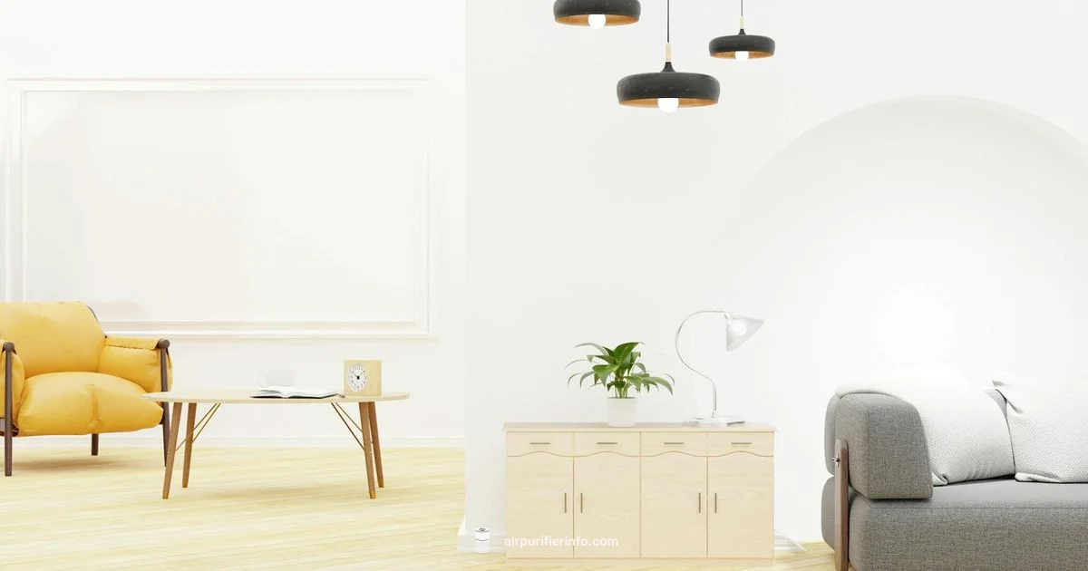 White Purifier Guide - Air Purifier Info