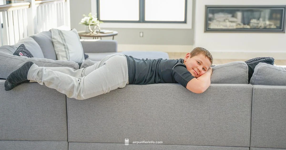 Clean Air, Easy Living - Air Purifier Info