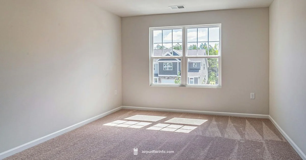 Breathing Easy at Home - Air Purifier Info