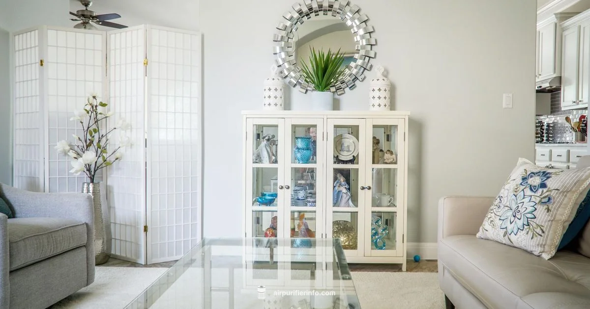 HealthMate Plus Review - Air Purifier Info