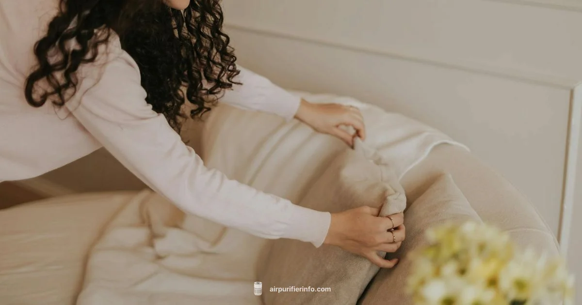 Quiet Air, Clean Air - Air Purifier Info