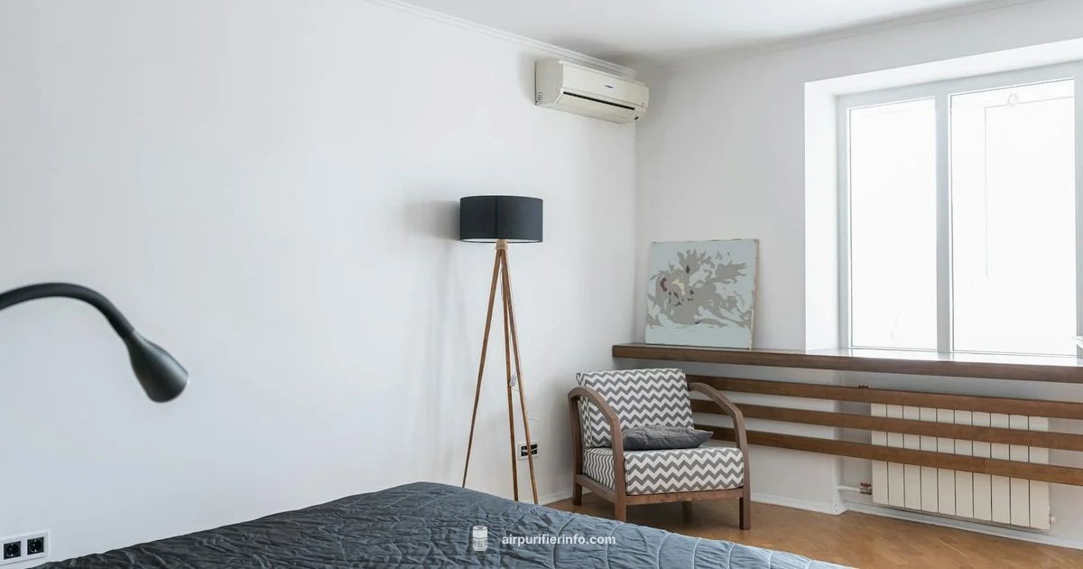 AC purifier combo AC purifier combo - Air Purifier Info