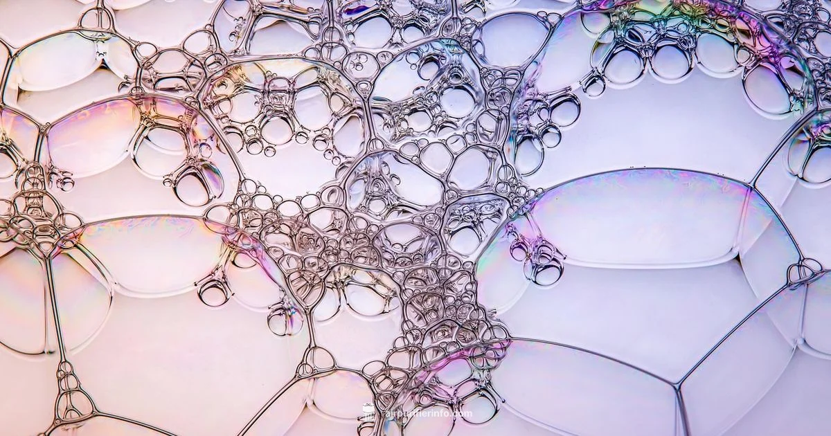 Water Based Purifier - Air Purifier Info