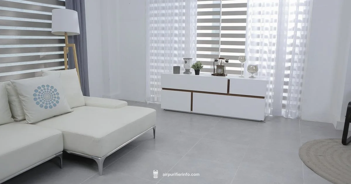 Air Purifier Downsides Air Purifier Downsides - Air Purifier Info