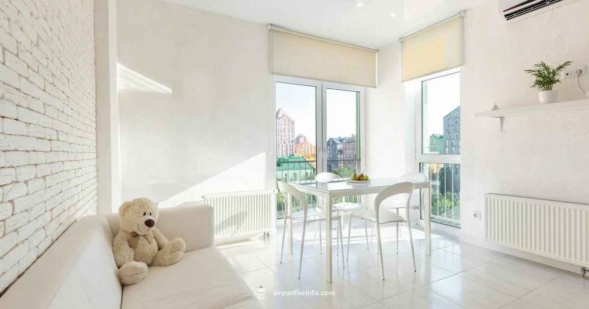 Fresh Air, Clean Home - Air Purifier Info