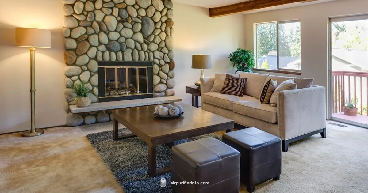 Clean Air Home - Air Purifier Info