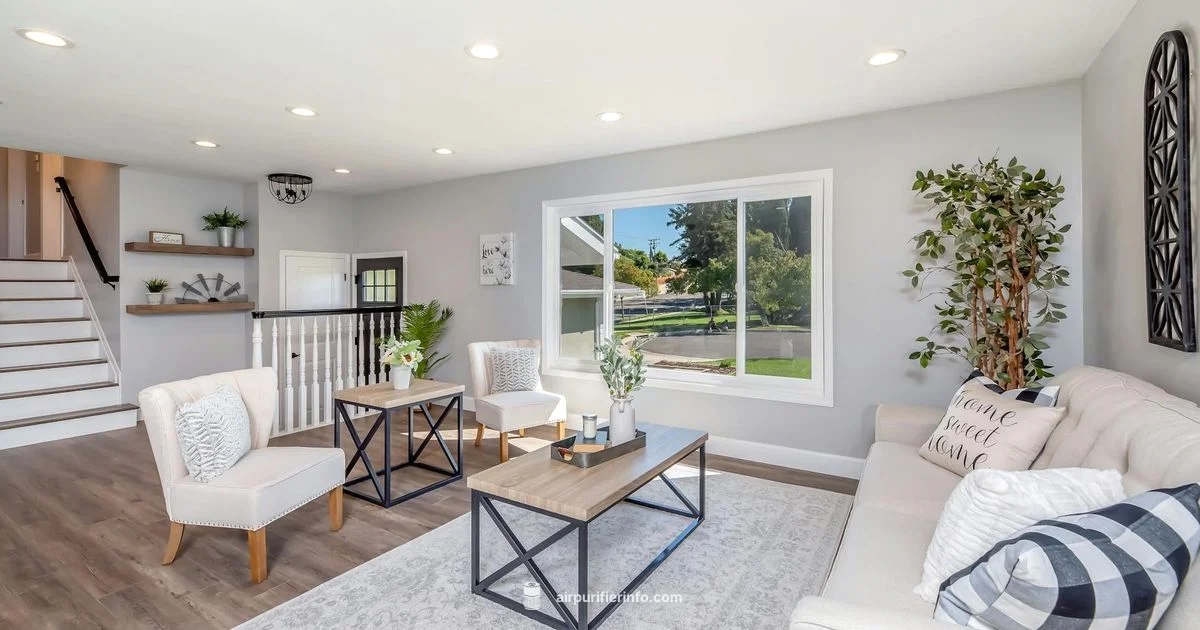 Clean Air, Easy Setup - Air Purifier Info