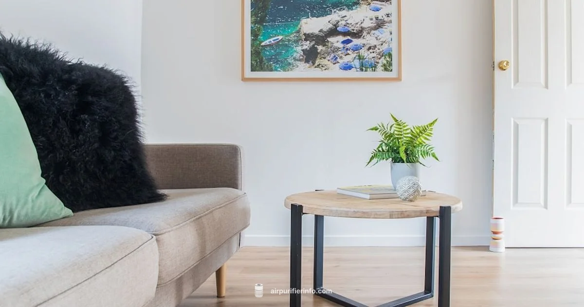 Air Quality Basics - Air Purifier Info