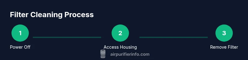 Process diagram showing steps to clean an air purifier filter