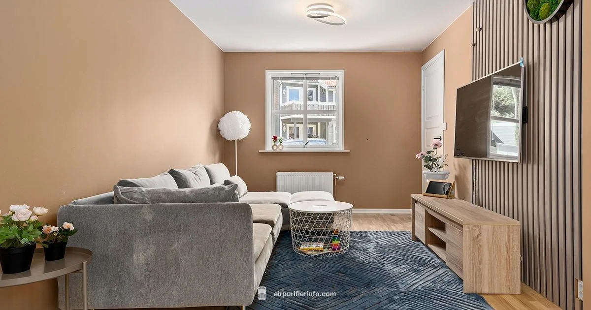 Find Dyson Nearby - Air Purifier Info