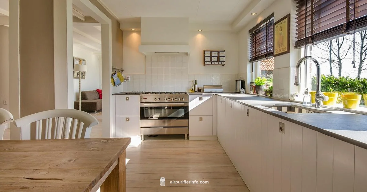 Levoit Plasma Pro 600S - Air Purifier Info