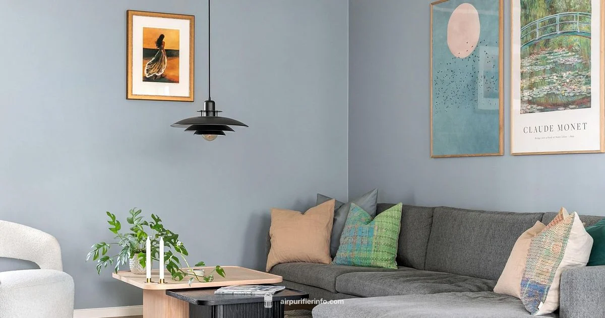 Air Purifier How-To - Air Purifier Info