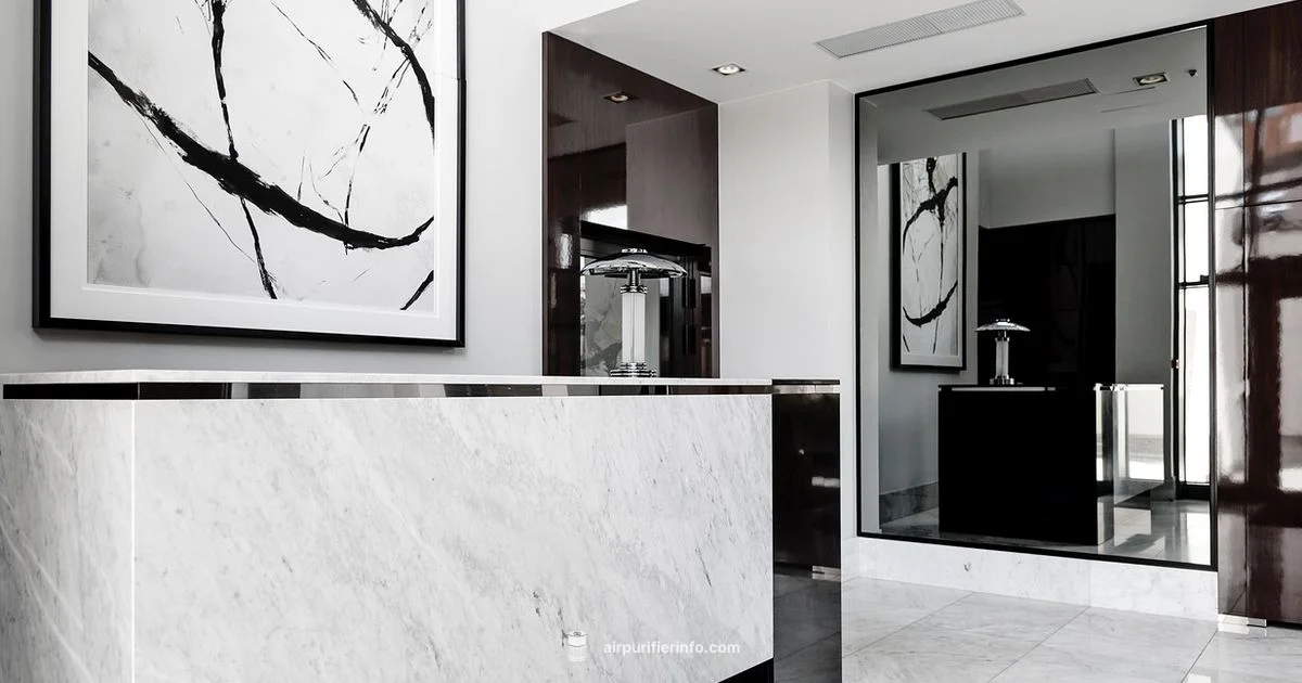 Large-Room Purifier - Air Purifier Info