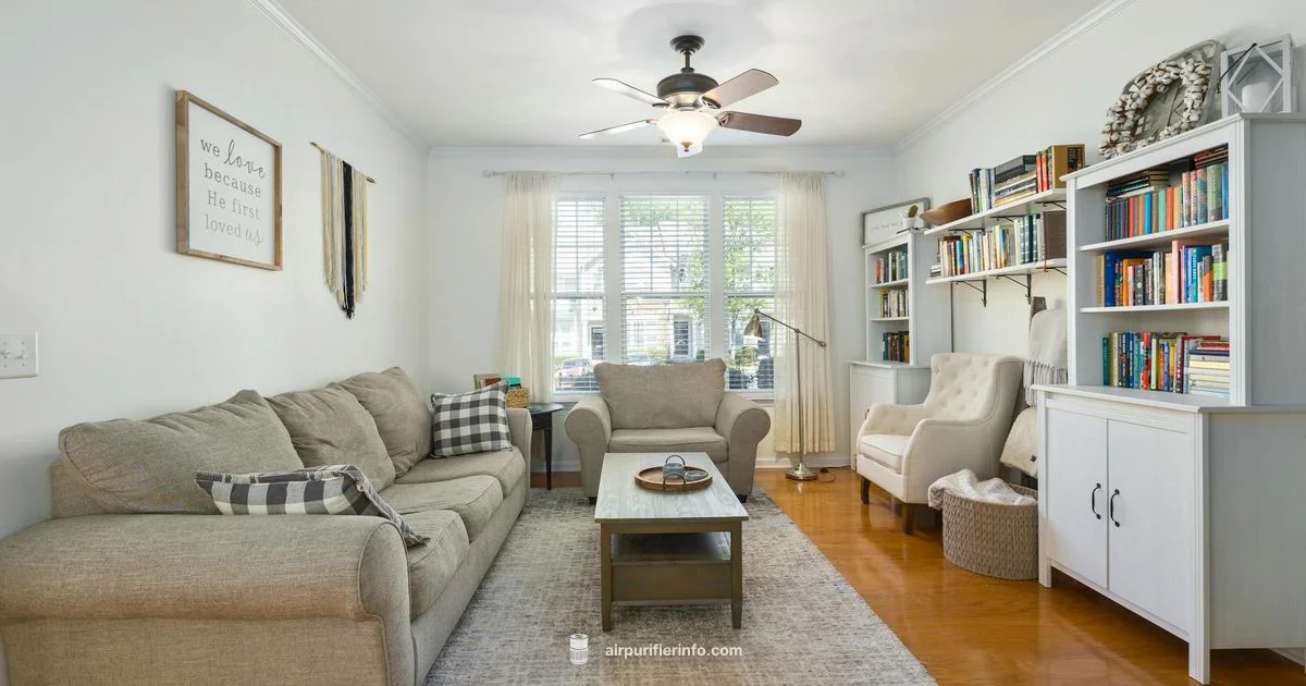 Clean Air, Simple - Air Purifier Info