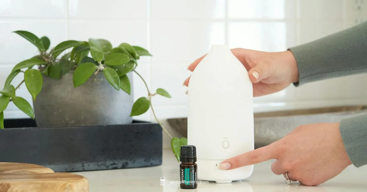 Air Purifier Diffuser Guide - Air Purifier Info