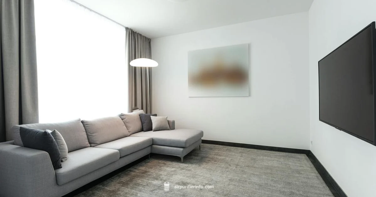 Pure Air, Clear Air - Air Purifier Info