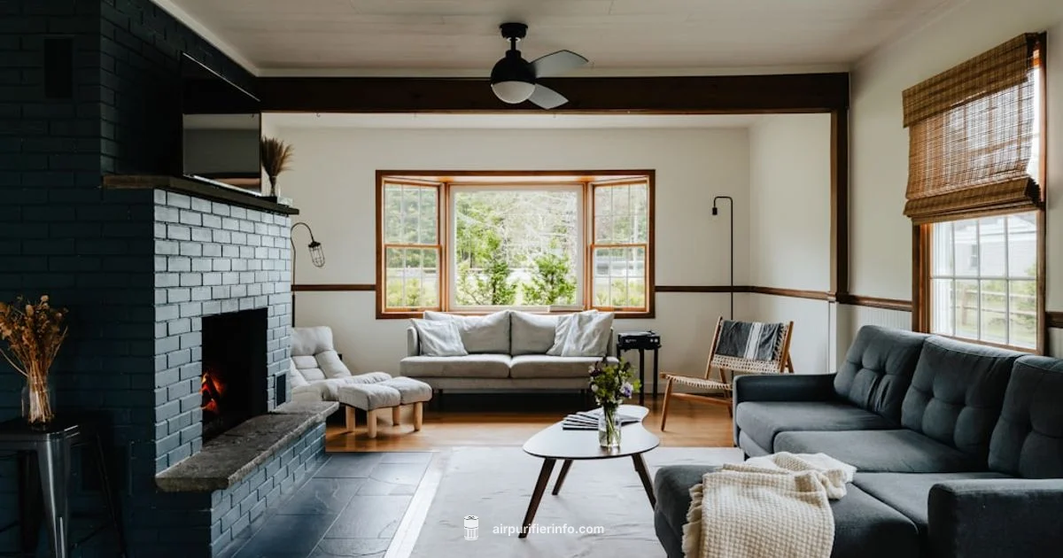 Dust Reduction Guide - Air Purifier Info