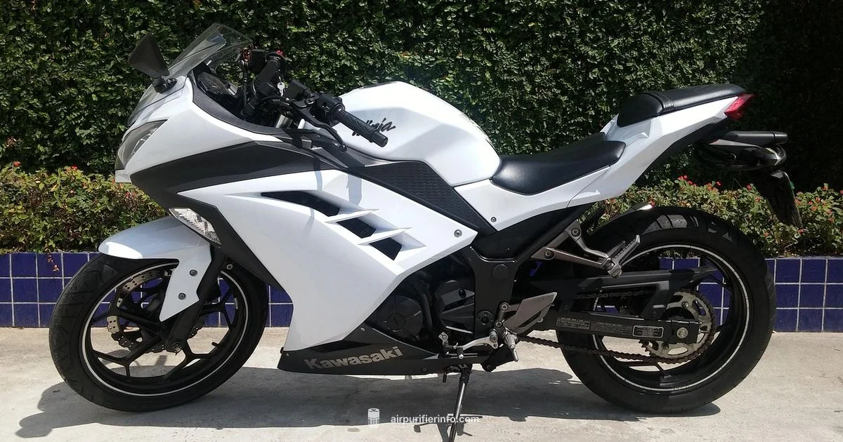 FR691V Air Filter Guide - Air Purifier Info