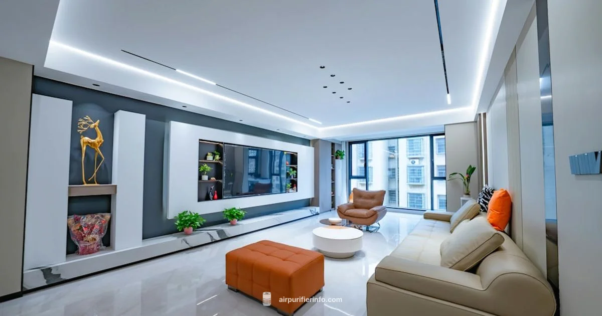 Before and After Filters - Air Purifier Info