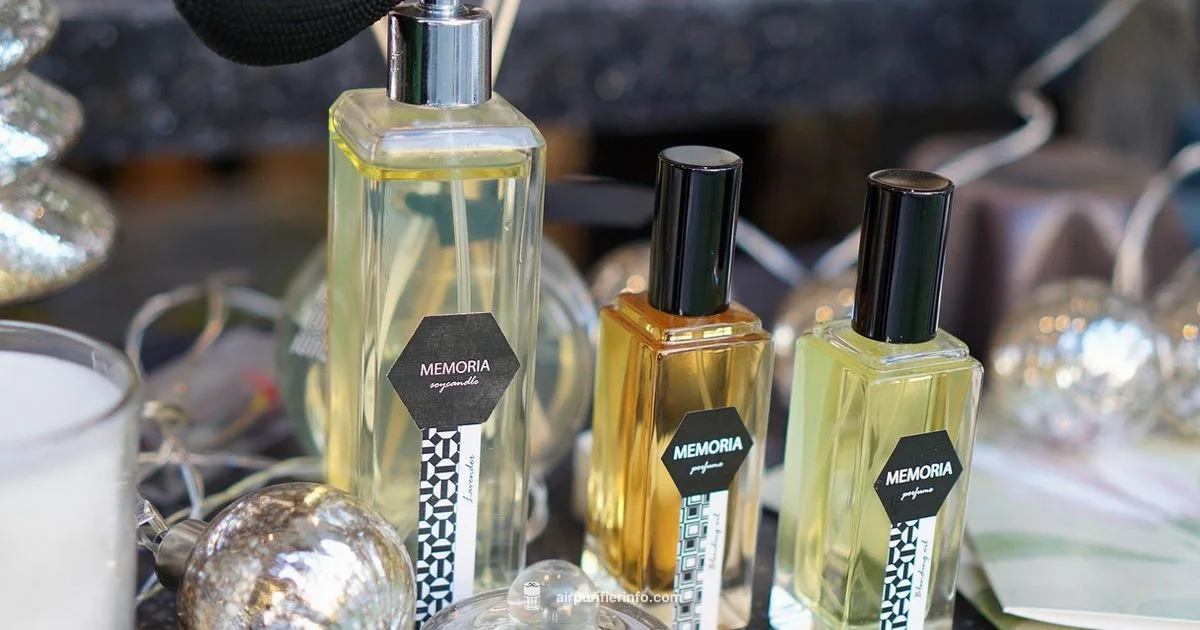 Air Purifier vs Diffuser - Air Purifier Info