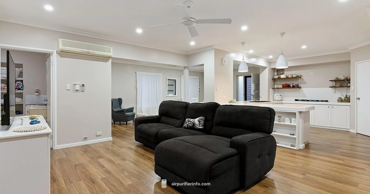 Honeywell HEPA Purifier - Air Purifier Info