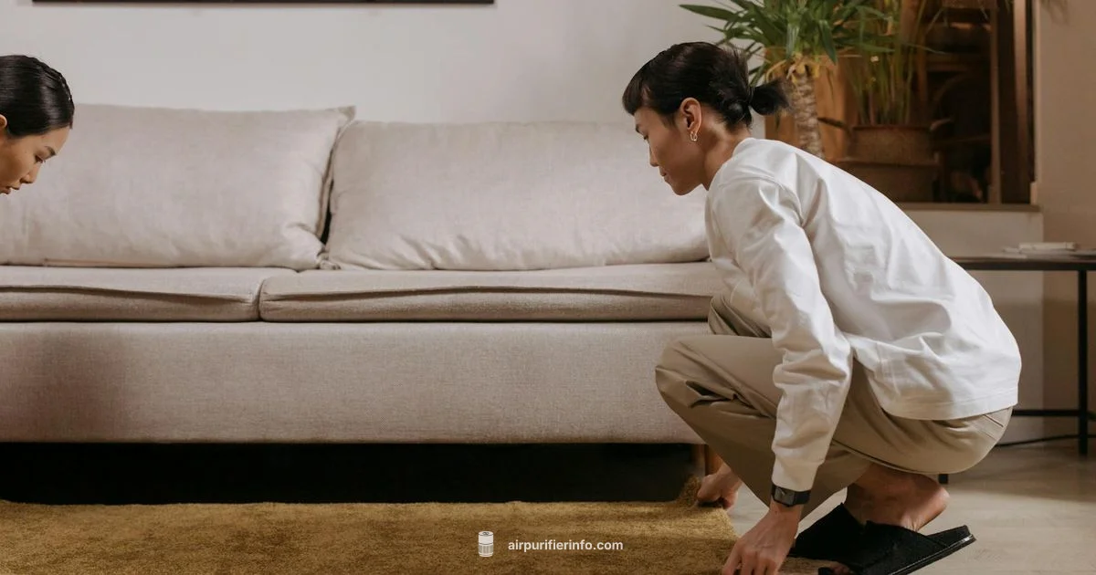 Allergy Purifier Guide - Air Purifier Info