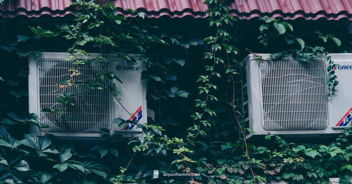 Cleaner Indoor Air - Air Purifier Info