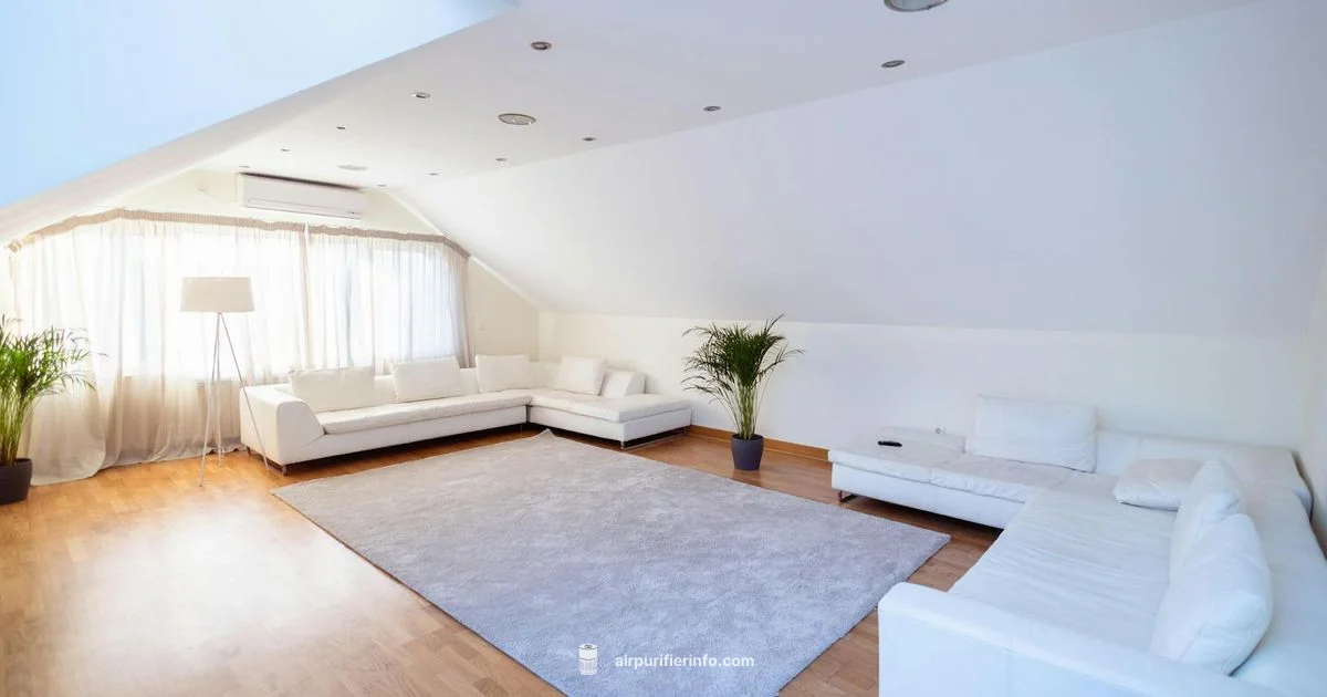 Aerus Purifier Insights - Air Purifier Info