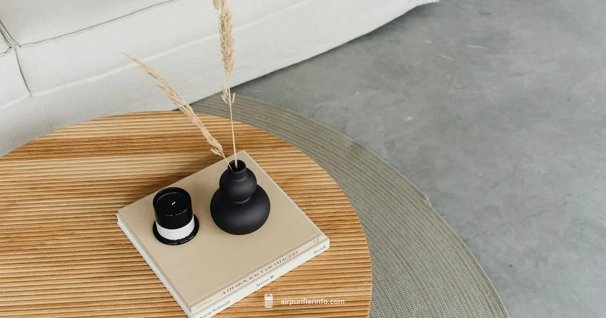 Clean Air, Simple Setup - Air Purifier Info