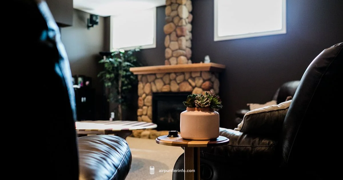 Radon IAQ - Air Purifier Info