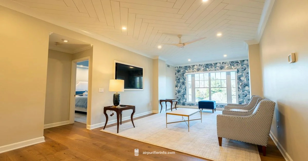 Ozone Free Air Purifier - Air Purifier Info