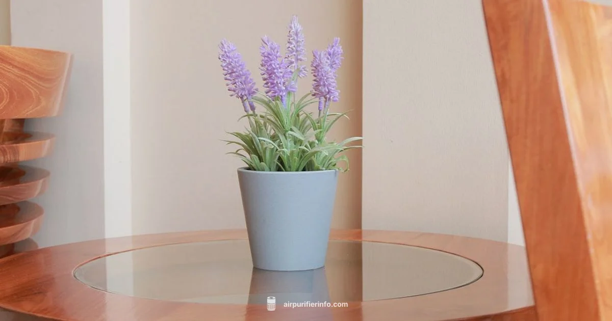 Filter Change Guide Filter Change Guide - Air Purifier Info