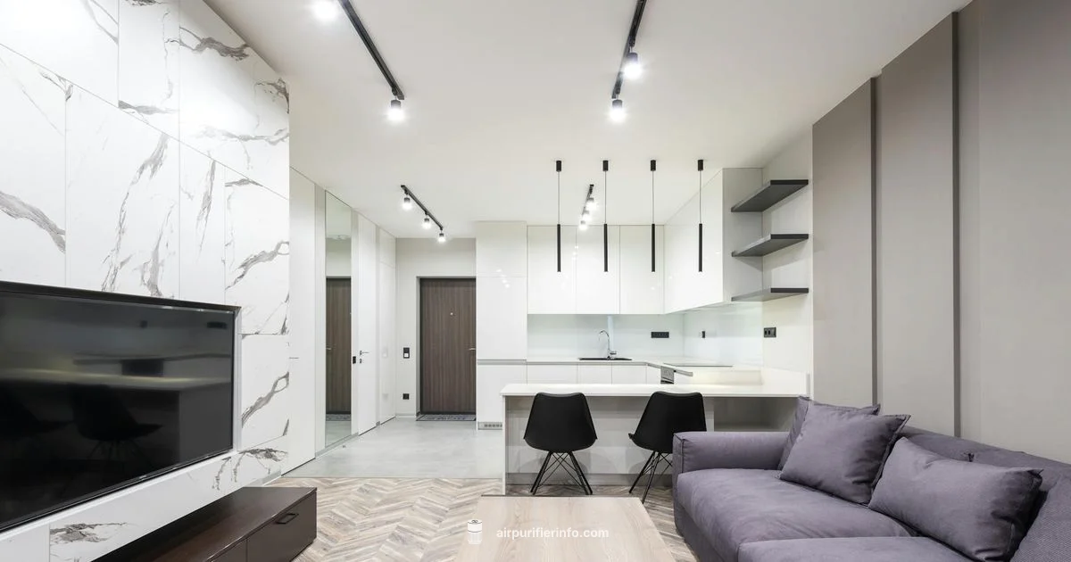 Black Purifier Spotlight Black Purifier Spotlight - Air Purifier Info