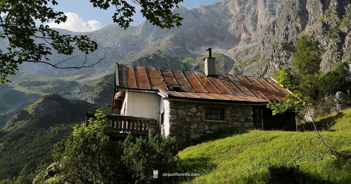 Alpine Purifier Guide - Air Purifier Info