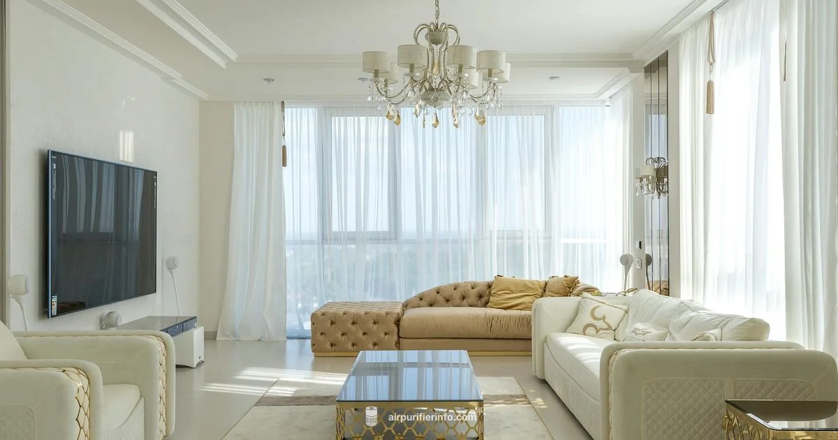 Air Disinfectant Basics - Air Purifier Info