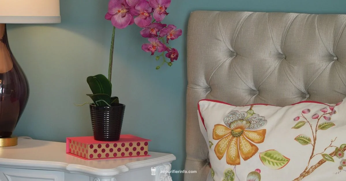 Congestion Relief Guide - Air Purifier Info