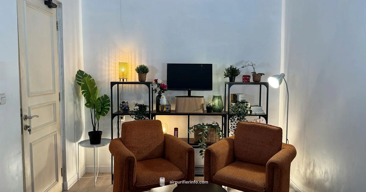Philips Purifier Pitfalls - Air Purifier Info