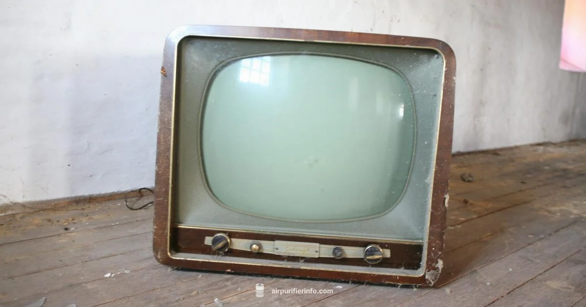 Dusty Room Purifier - Air Purifier Info