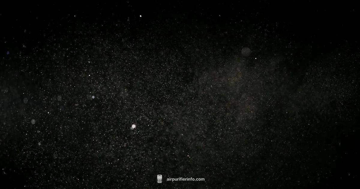 Cheapest Filter Costs Cheapest Filter Costs - Air Purifier Info