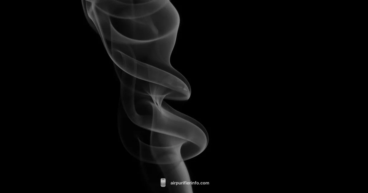 Smoke Filtration Guide Smoke Filtration Guide - Air Purifier Info