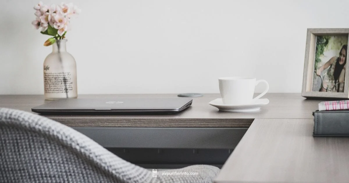 Fan Basics - Air Purifier Info