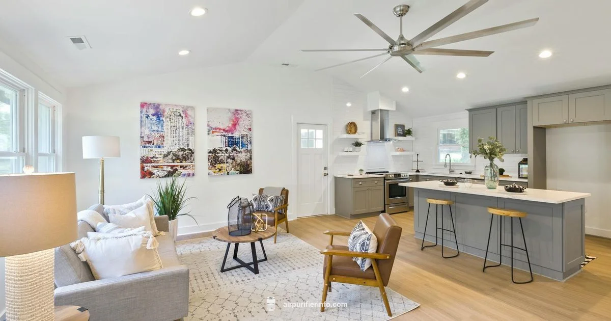 Black Finish Spotlight Black Finish Spotlight - Air Purifier Info